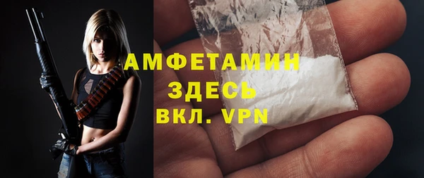 прущие грибы Беломорск