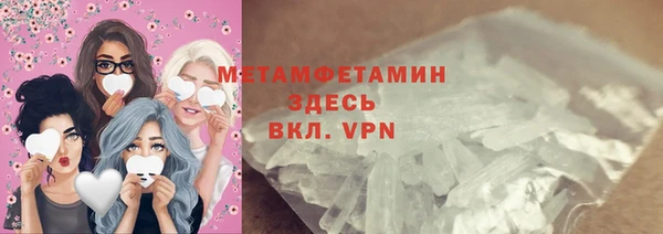 прущие грибы Беломорск