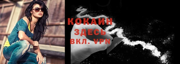 spice Белокуриха