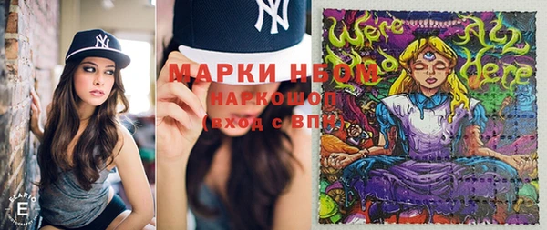 прущие грибы Беломорск