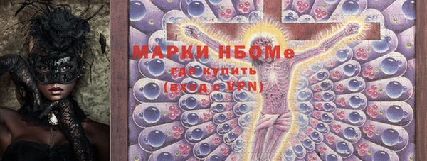прущие грибы Беломорск