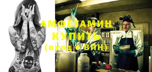 прущие грибы Беломорск