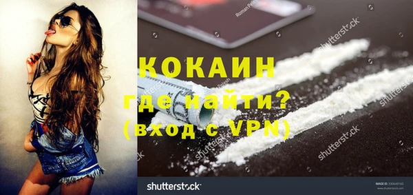прущие грибы Беломорск