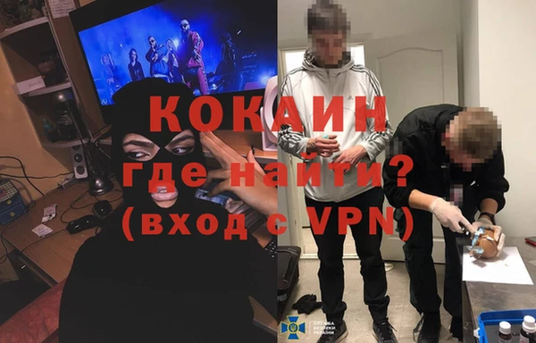 прущие грибы Беломорск