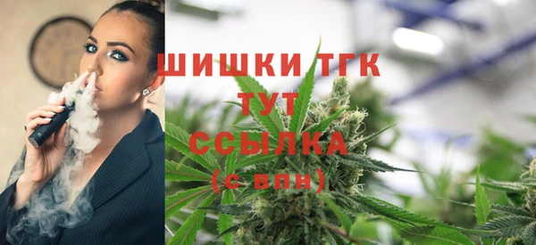 прущие грибы Беломорск