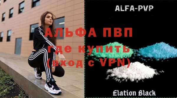 прущие грибы Беломорск