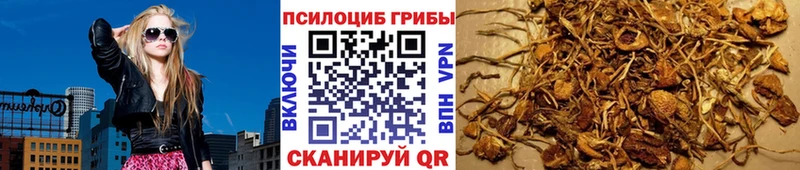 Купить где  Медынь  Псилоцибиновые грибы MAGIC MUSHROOMS 